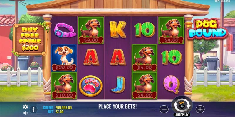 Unleash Wild Wins in the Irresistible Dog Pound Slot